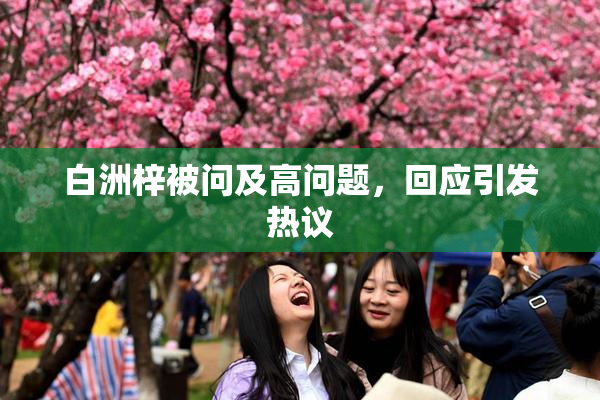 白洲梓被问及高问题，回应引发热议