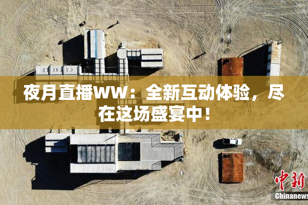 夜月直播WW：全新互动体验，尽在这场盛宴中！