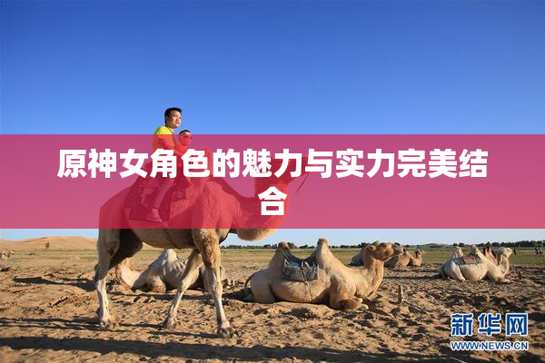 原神女角色的魅力与实力完美结合