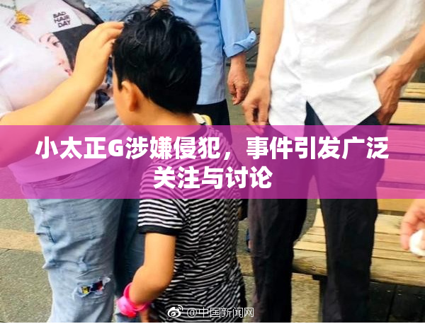 小太正G涉嫌侵犯，事件引发广泛关注与讨论