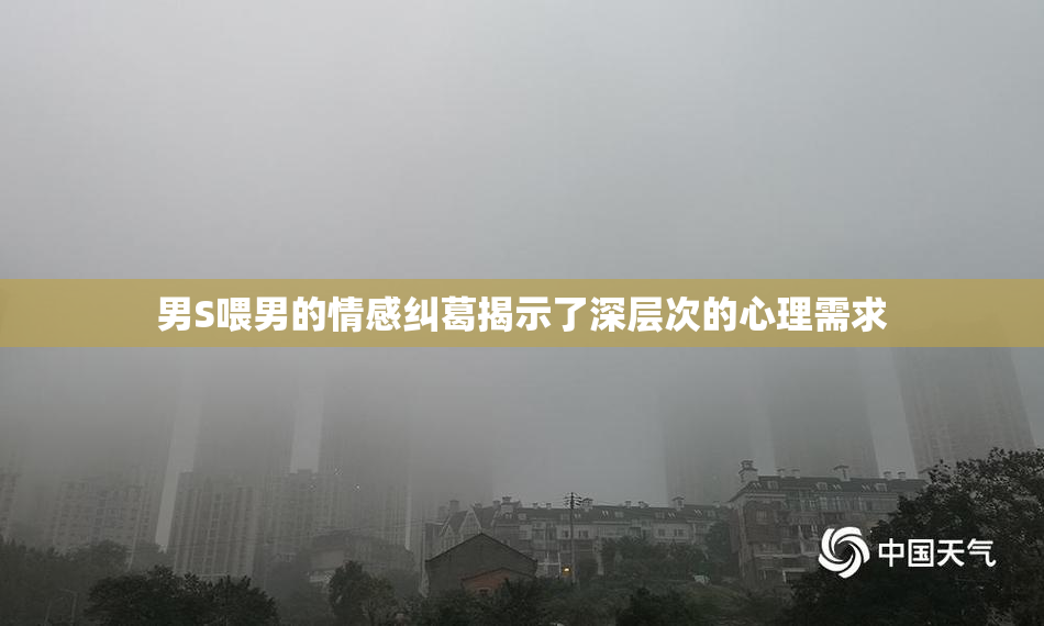 男S喂男的情感纠葛揭示了深层次的心理需求