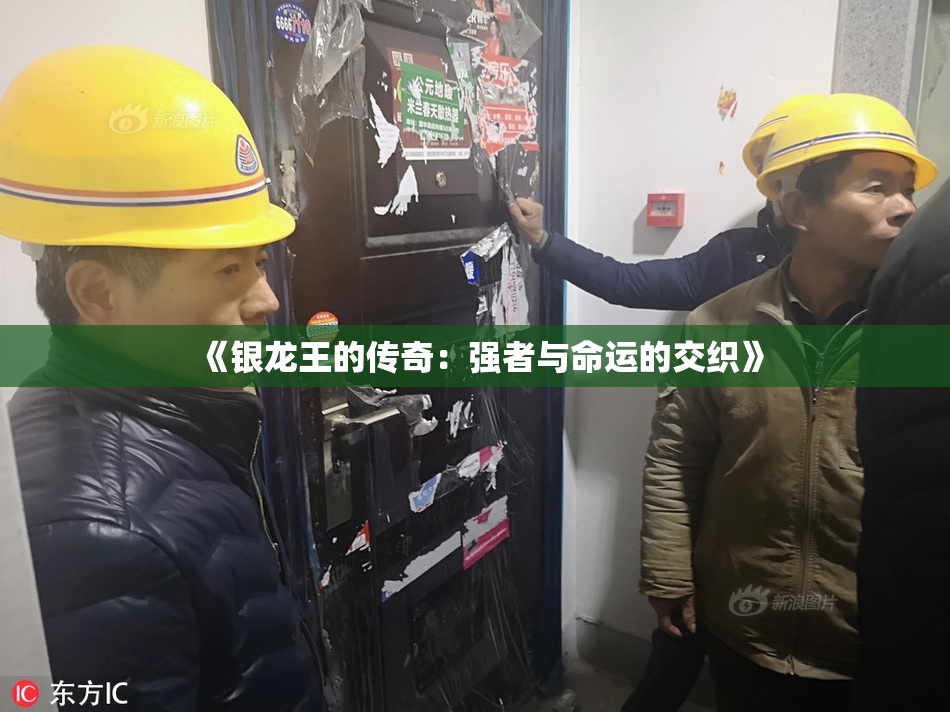 《银龙王的传奇：强者与命运的交织》
