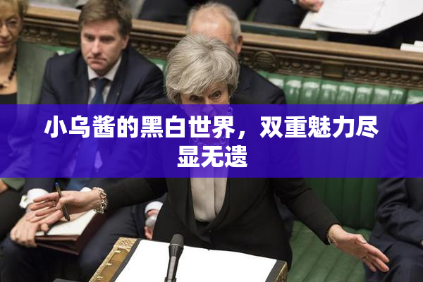 小乌酱的黑白世界，双重魅力尽显无遗