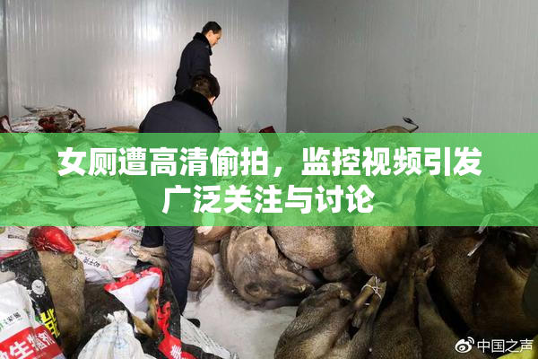 女厕遭高清偷拍，监控视频引发广泛关注与讨论