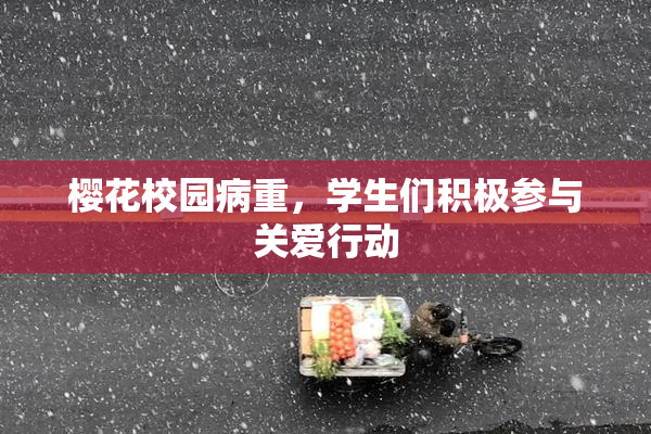 樱花校园病重，学生们积极参与关爱行动