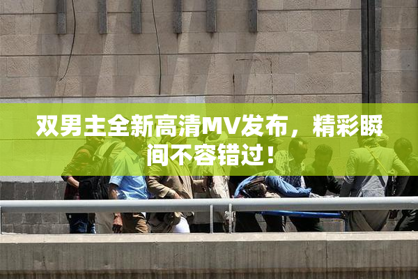 双男主全新高清MV发布，精彩瞬间不容错过！