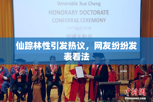 仙踪林性引发热议，网友纷纷发表看法