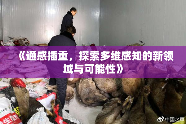 《通感插重，探索多维感知的新领域与可能性》