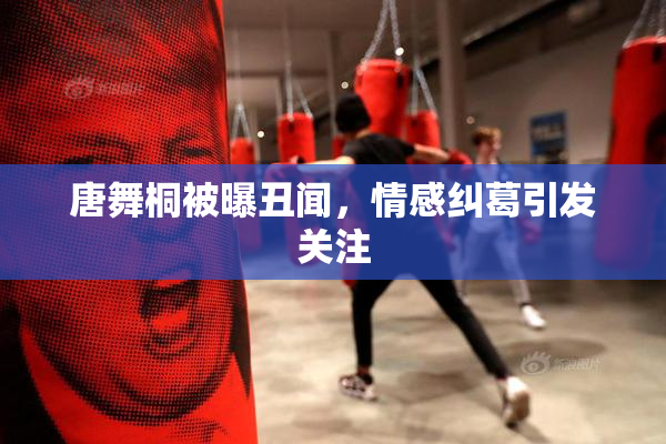 唐舞桐被曝丑闻，情感纠葛引发关注