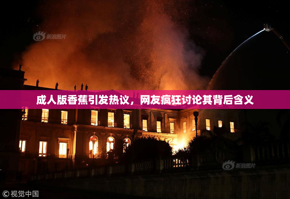 成人版香蕉引发热议，网友疯狂讨论其背后含义