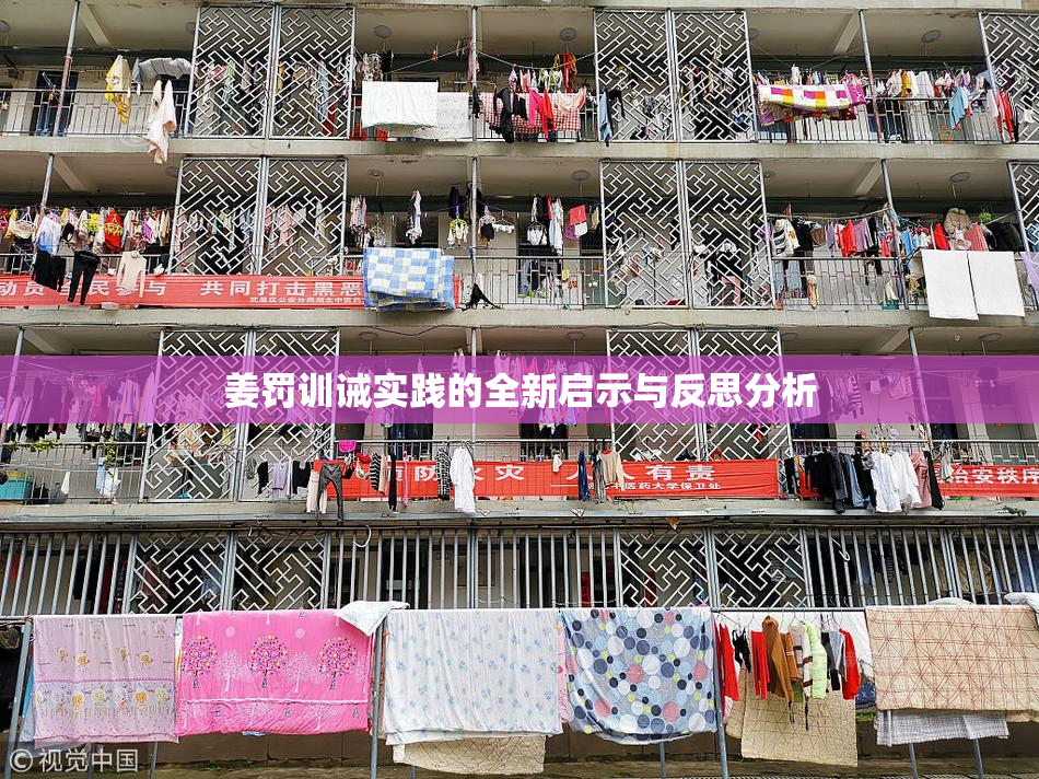 姜罚训诫实践的全新启示与反思分析