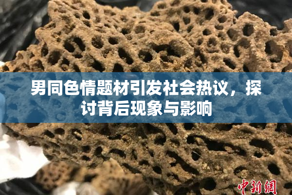 男同色情题材引发社会热议，探讨背后现象与影响