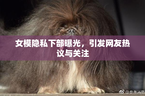 女模隐私下部曝光，引发网友热议与关注