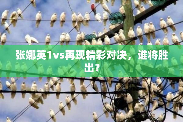 张娜英1vs再现精彩对决，谁将胜出？