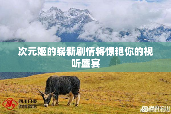次元姬的崭新剧情将惊艳你的视听盛宴