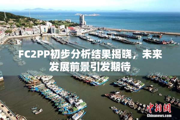 FC2PP初步分析结果揭晓，未来发展前景引发期待