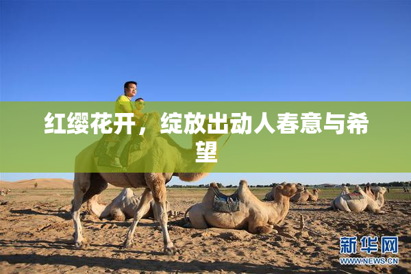红缨花开，绽放出动人春意与希望