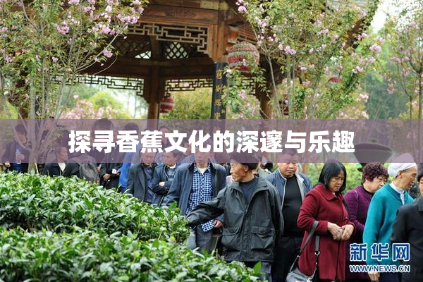 探寻香蕉文化的深邃与乐趣