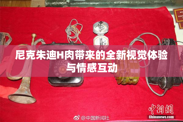 尼克朱迪H肉带来的全新视觉体验与情感互动