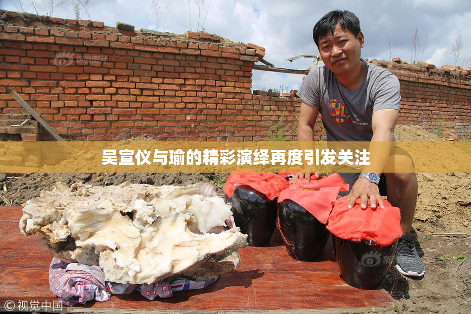 吴宣仪与瑜的精彩演绎再度引发关注