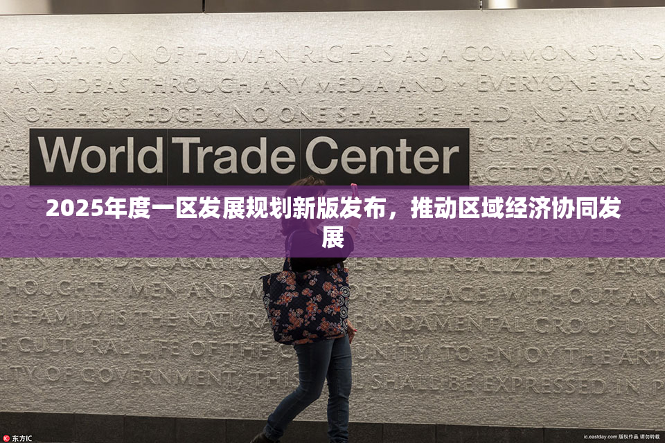 2025年度一区发展规划新版发布，推动区域经济协同发展