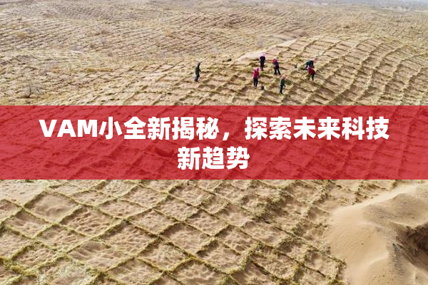 VAM小全新揭秘，探索未来科技新趋势