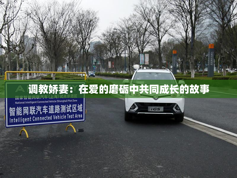 调教娇妻：在爱的磨砺中共同成长的故事