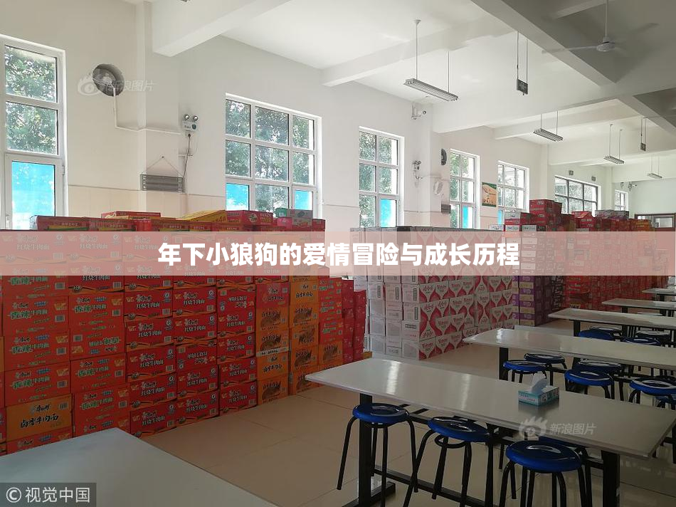 年下小狼狗的爱情冒险与成长历程