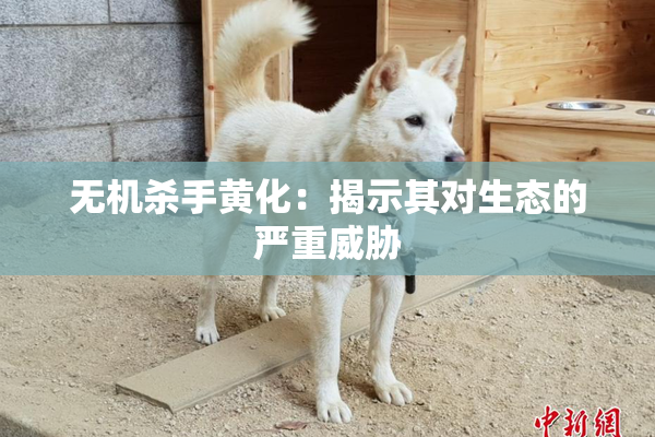 无机杀手黄化：揭示其对生态的严重威胁