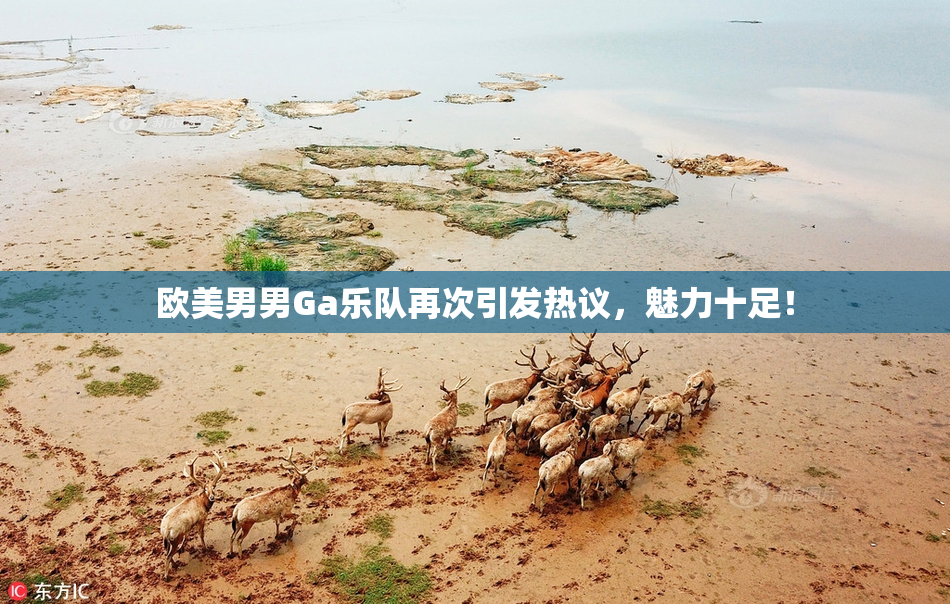 欧美男男Ga乐队再次引发热议，魅力十足！