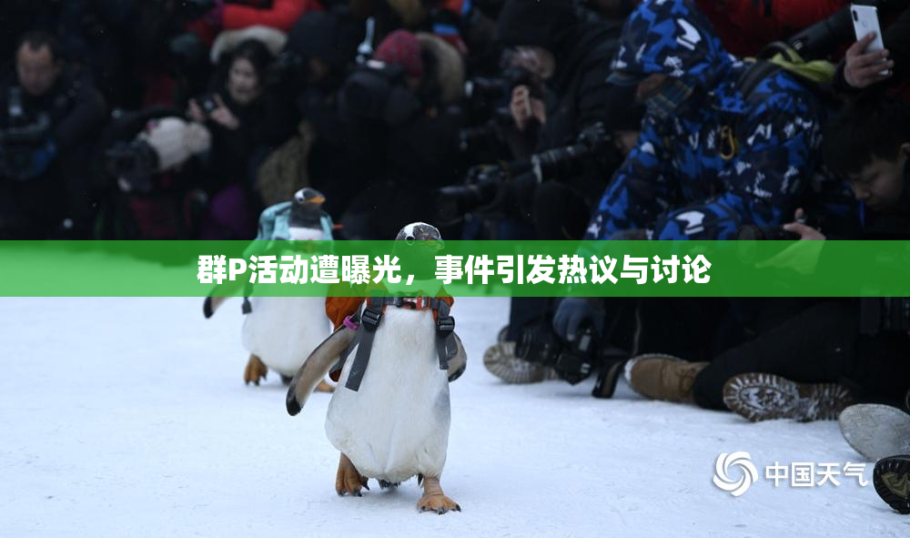 群P活动遭曝光，事件引发热议与讨论