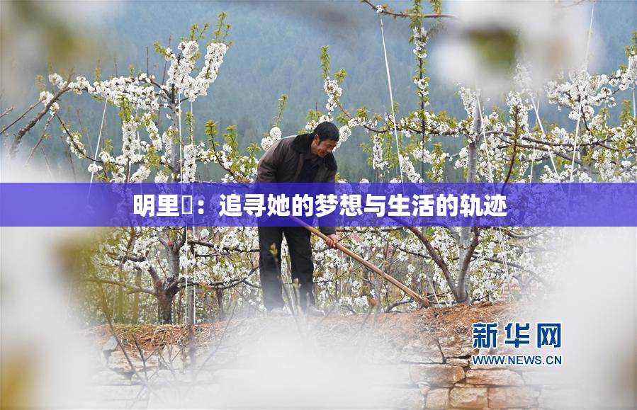 明里紬：追寻她的梦想与生活的轨迹