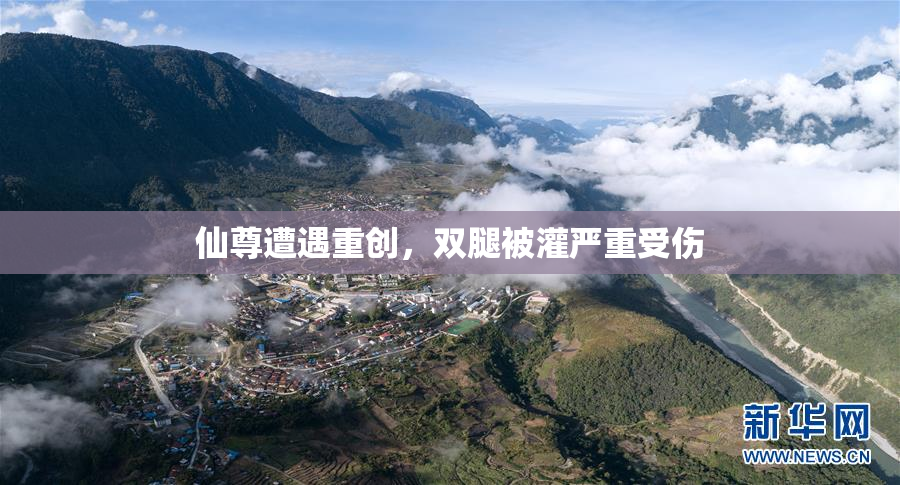 仙尊遭遇重创，双腿被灌严重受伤