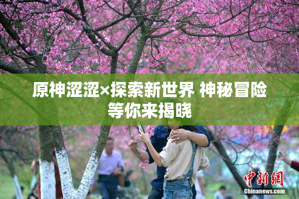 原神涩涩×探索新世界 神秘冒险等你来揭晓