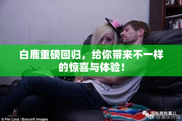 白鹿重磅回归，给你带来不一样的惊喜与体验！