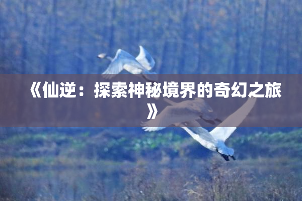 《仙逆：探索神秘境界的奇幻之旅》