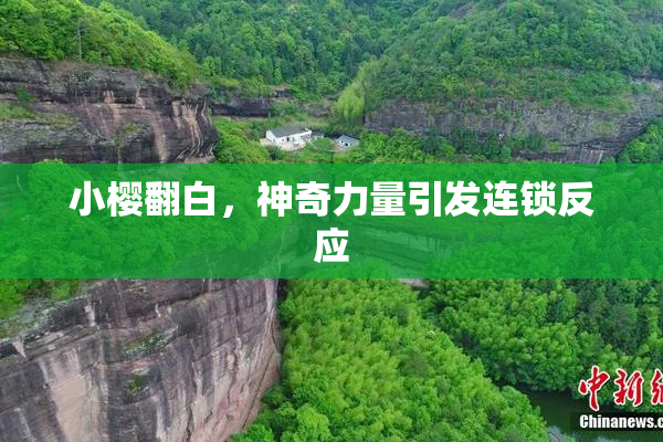 小樱翻白，神奇力量引发连锁反应