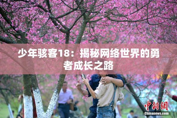少年骇客18：揭秘网络世界的勇者成长之路