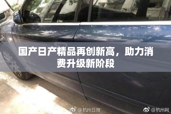国产日产精品再创新高，助力消费升级新阶段