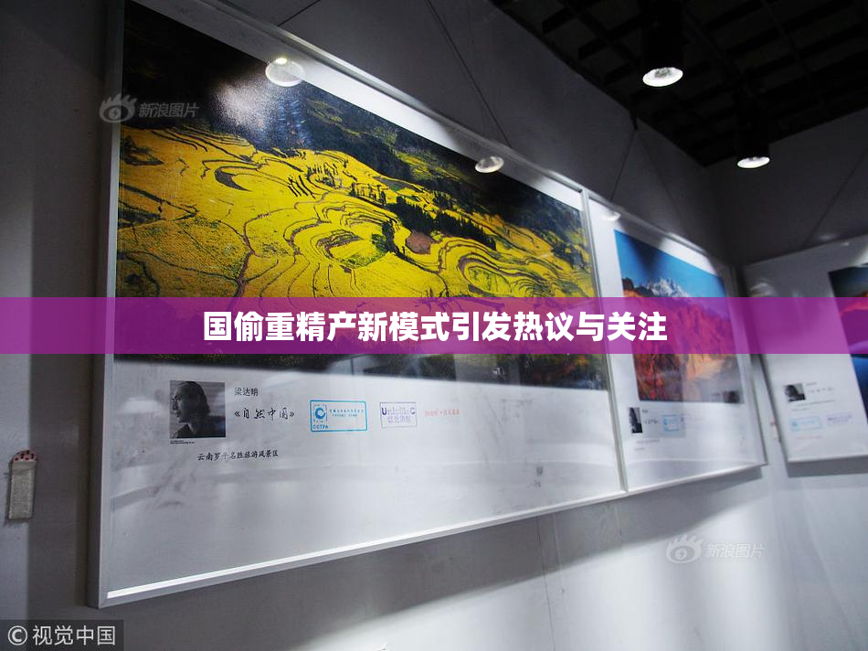 国偷重精产新模式引发热议与关注