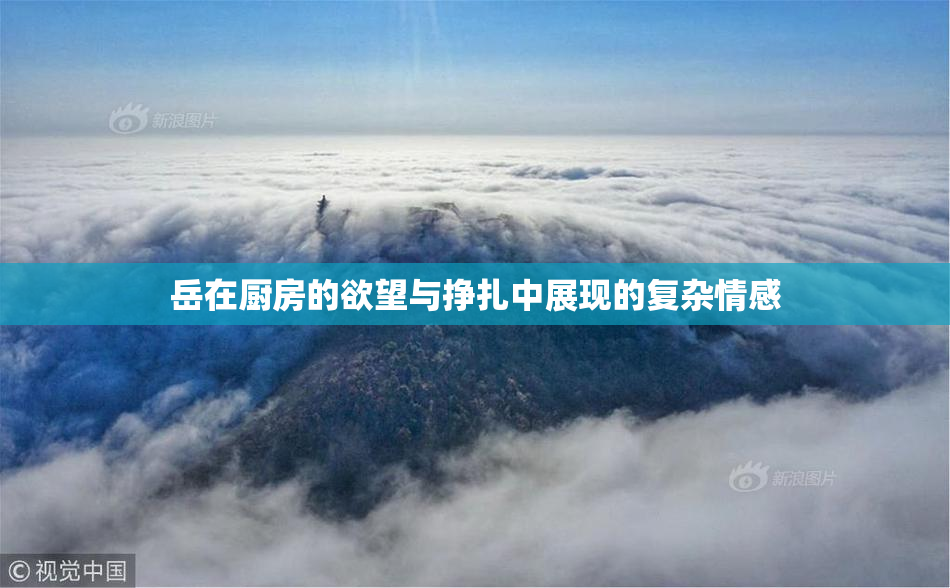 岳在厨房的欲望与挣扎中展现的复杂情感