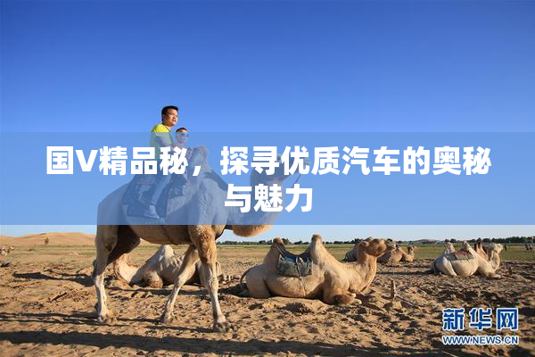 国V精品秘，探寻优质汽车的奥秘与魅力