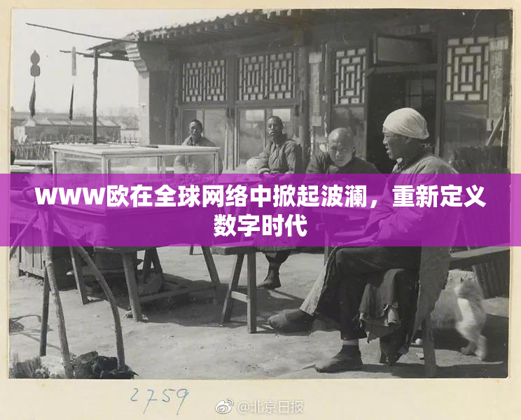WWW欧在全球网络中掀起波澜，重新定义数字时代