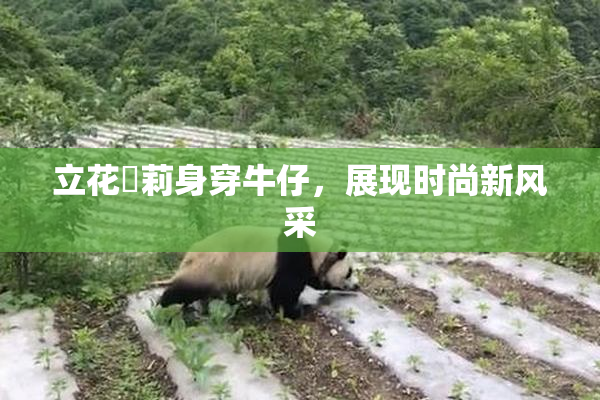 立花瑠莉身穿牛仔，展现时尚新风采