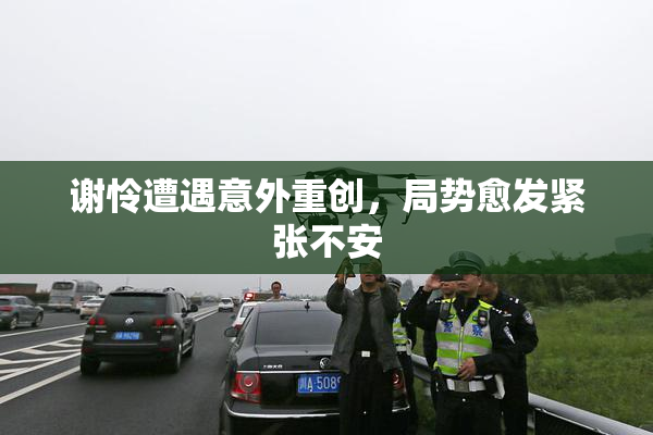 谢怜遭遇意外重创，局势愈发紧张不安