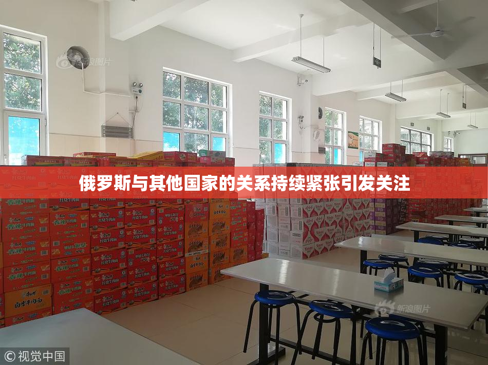 俄罗斯与其他国家的关系持续紧张引发关注