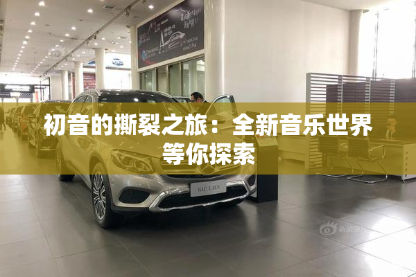 初音的撕裂之旅：全新音乐世界等你探索