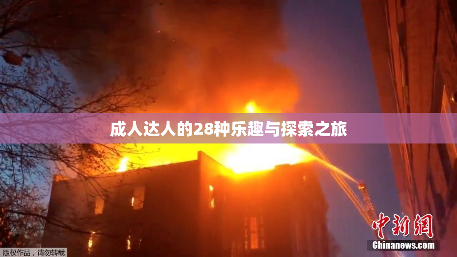 成人达人的28种乐趣与探索之旅