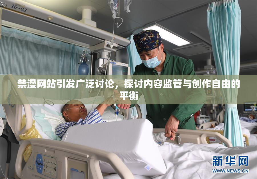 禁漫网站引发广泛讨论，探讨内容监管与创作自由的平衡