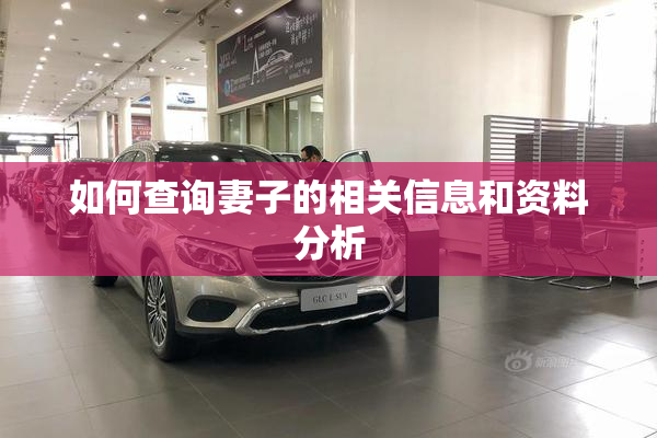 如何查询妻子的相关信息和资料分析